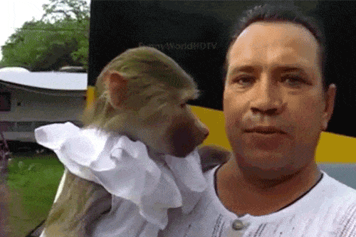 image.gif