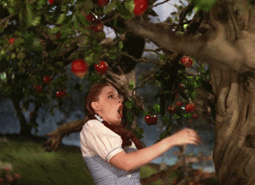 image.gif