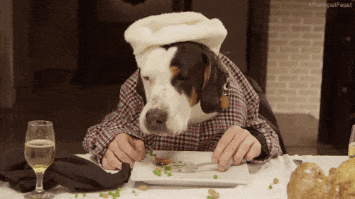 image.gif