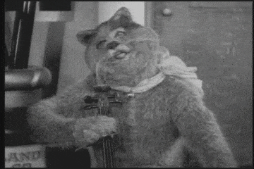 image.gif