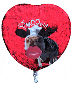 image.gif