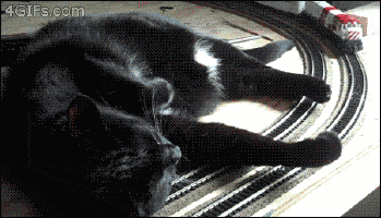 image.gif