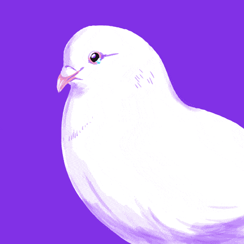 image.gif