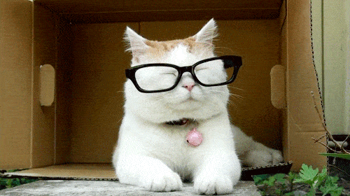 image.gif