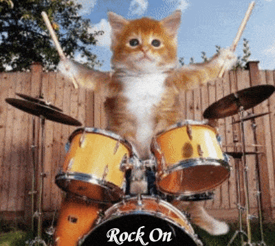 image.gif