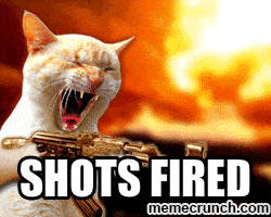image.gif