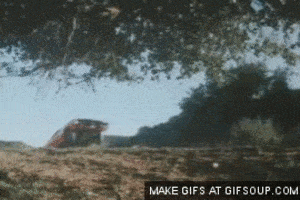image.gif
