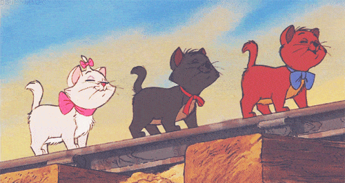 image.gif