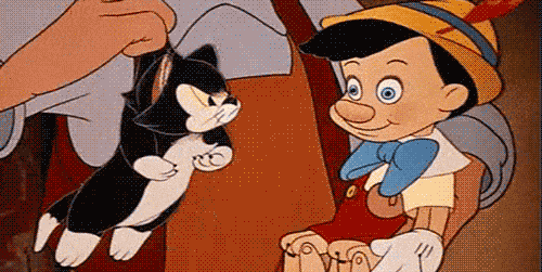 image.gif