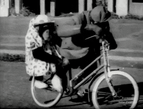 image.gif