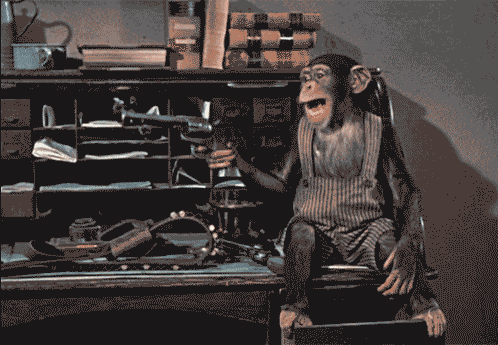 image.gif