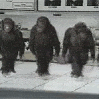 image.gif