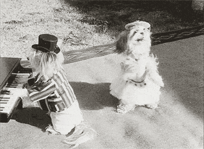 image.gif