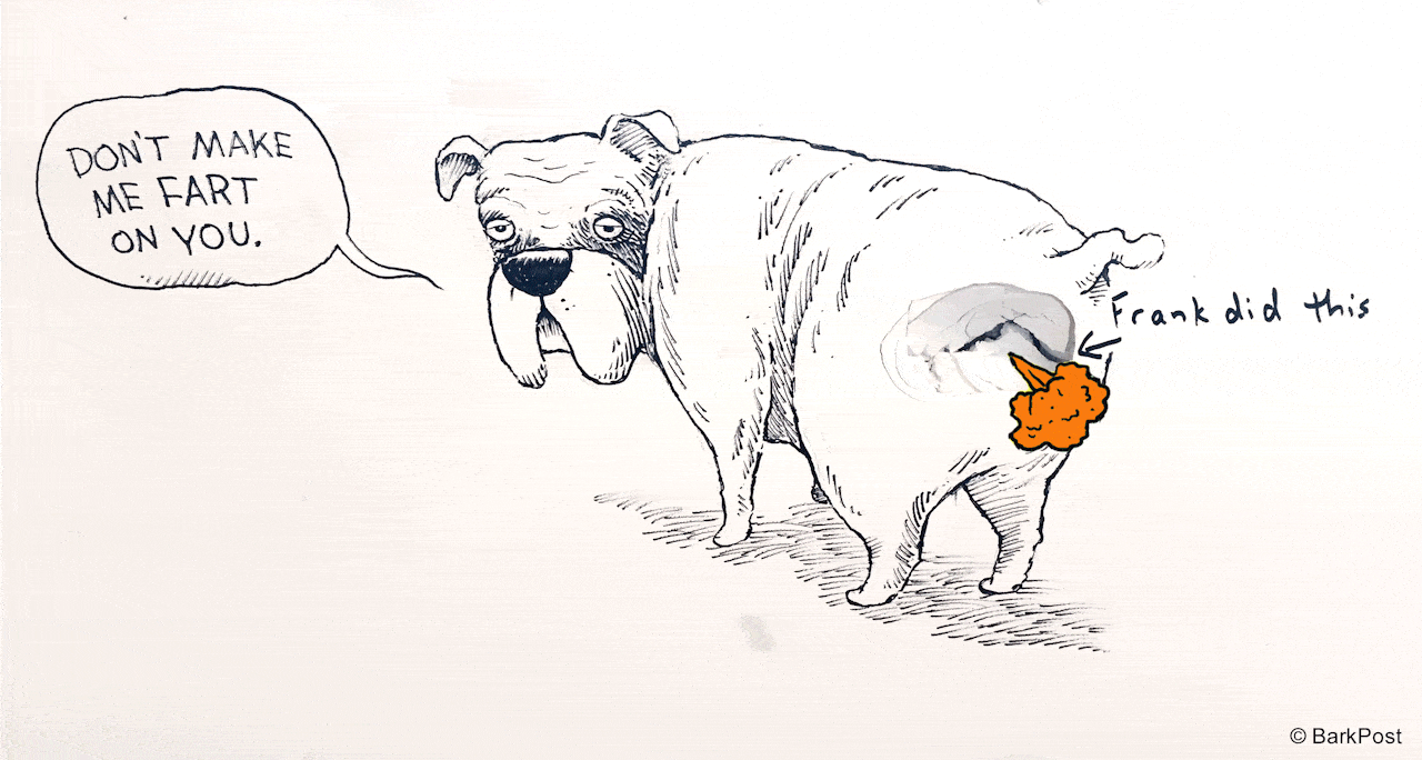 image.gif