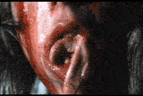image.gif