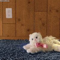 image.gif