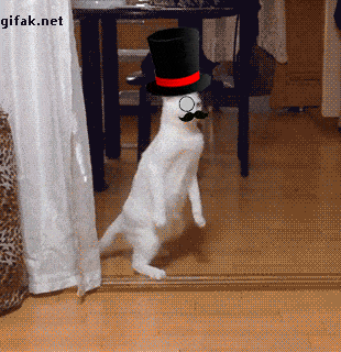 image.gif