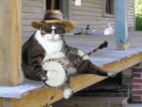image.gif