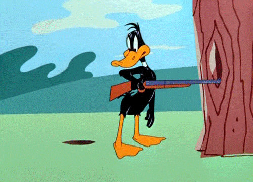 image.gif