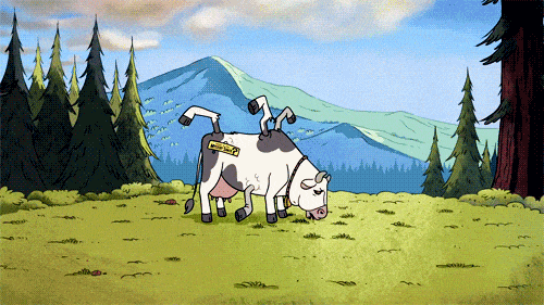 image.gif
