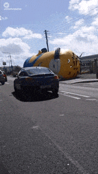 image.gif