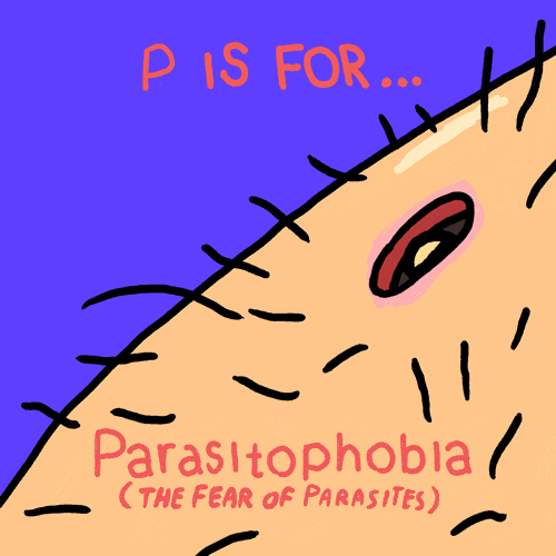 image.gif
