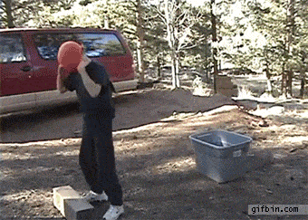 image.gif