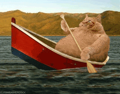 image.gif