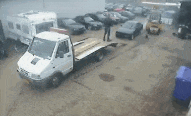 image.gif