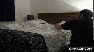 image.gif
