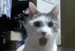 image.gif