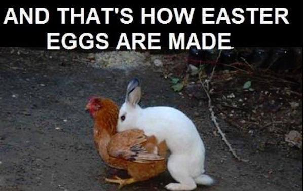 image.jpeg