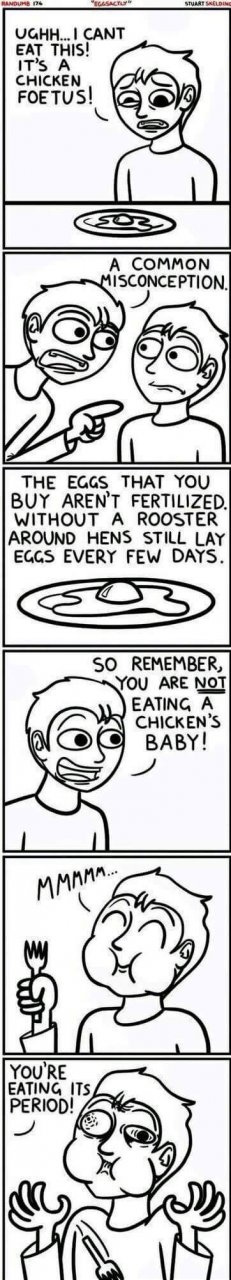 image.jpeg