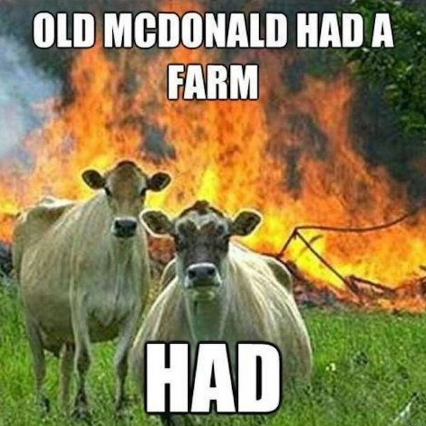 image.jpeg