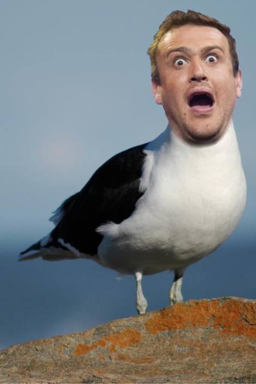 image.jpeg
