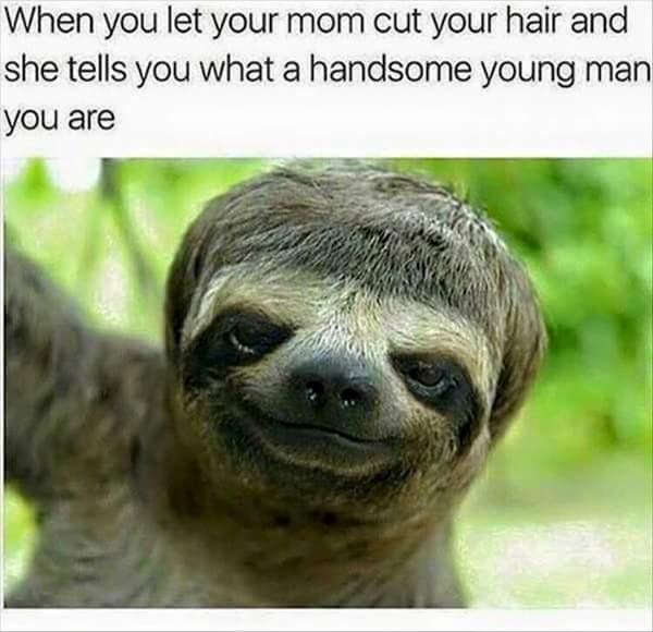 image.jpeg