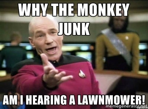 image.jpeg