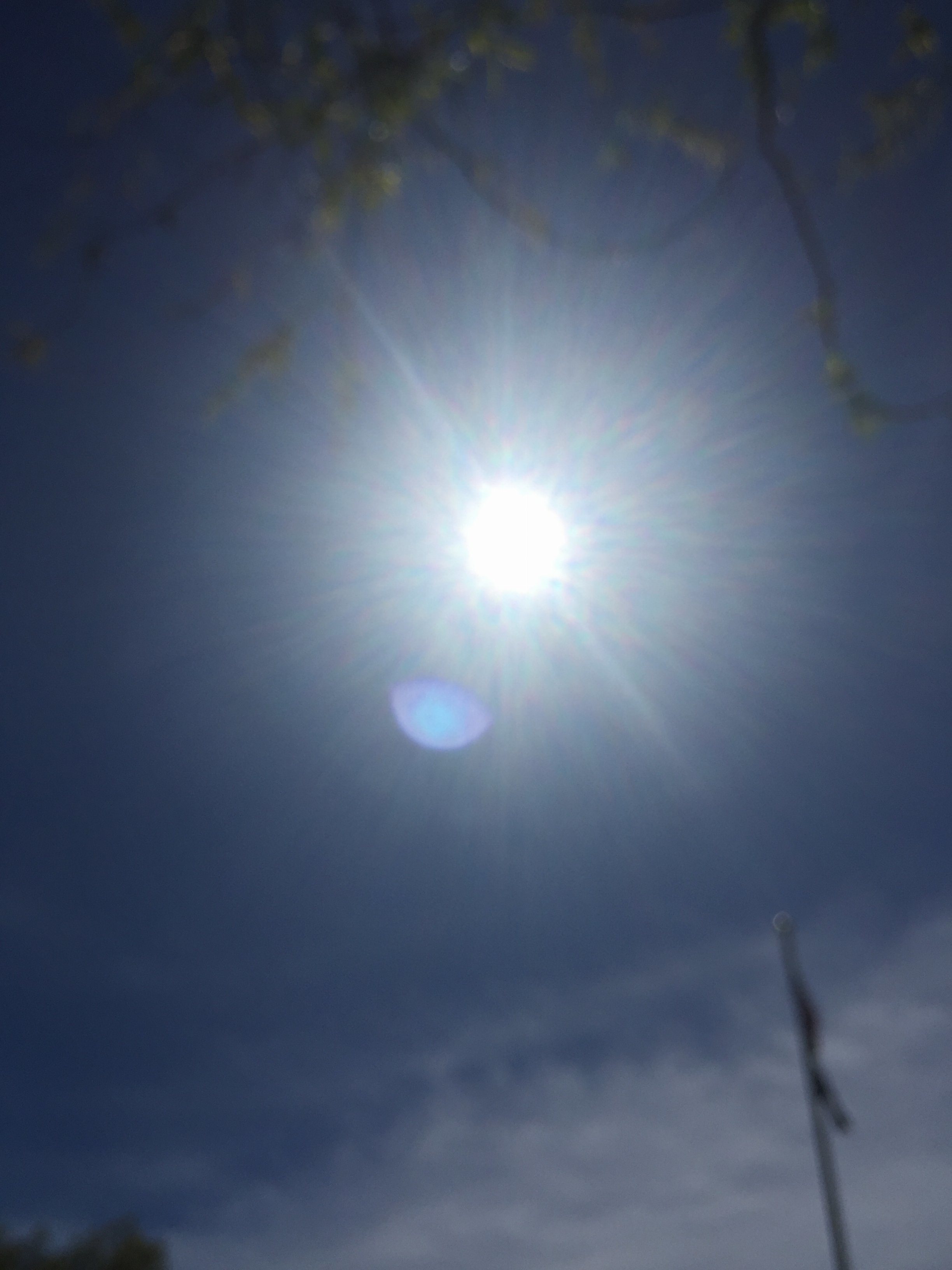 image.jpeg