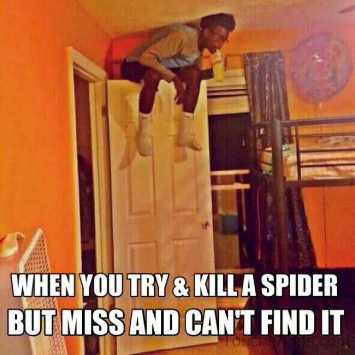image.jpeg