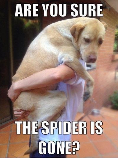 image.jpeg