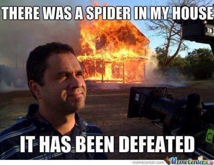 image.jpeg