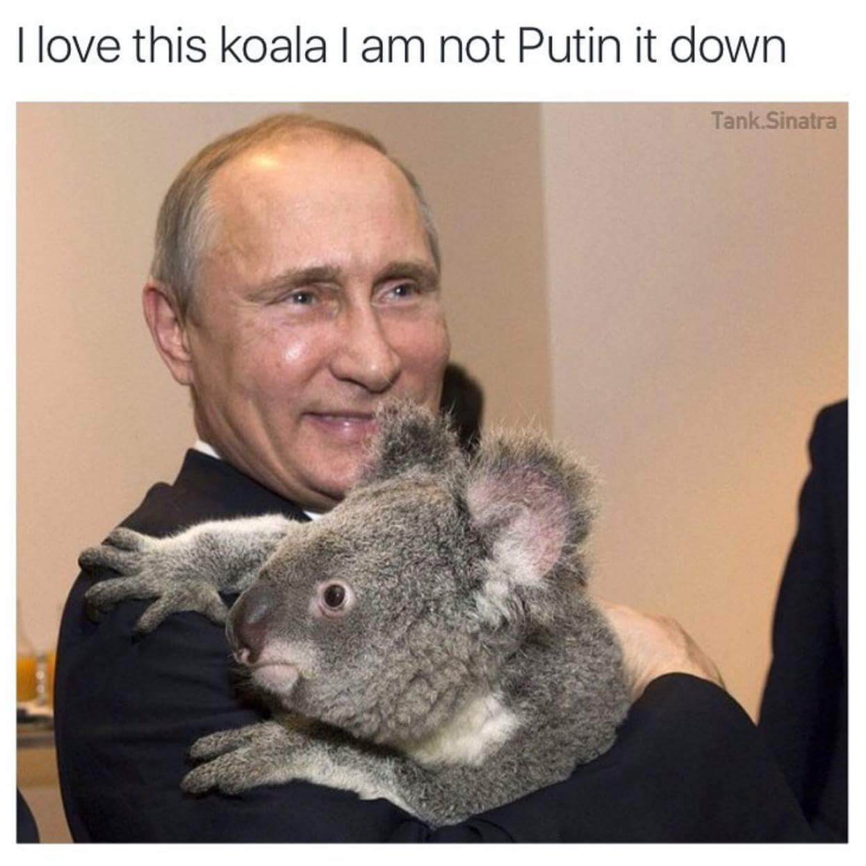 image.jpeg