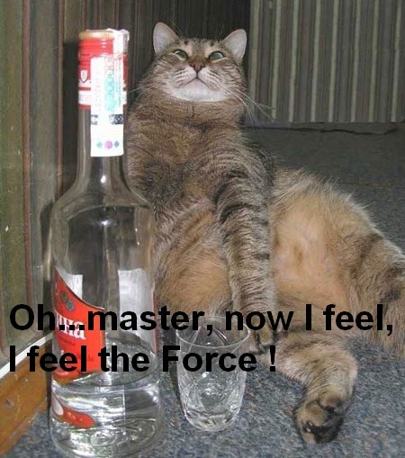 image.jpeg