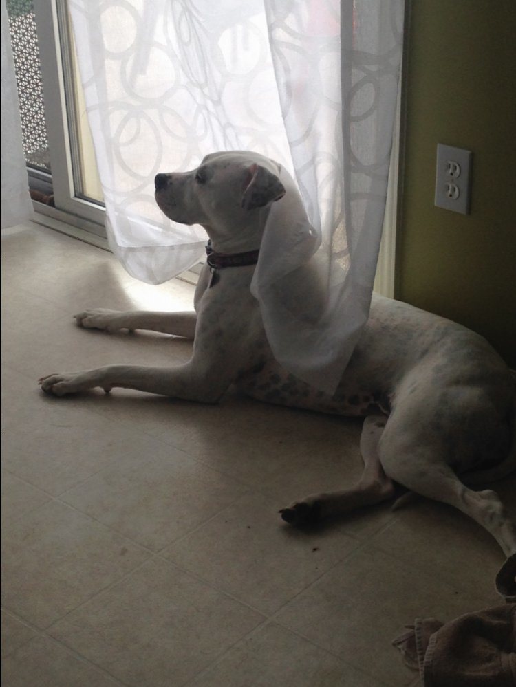 image.jpg