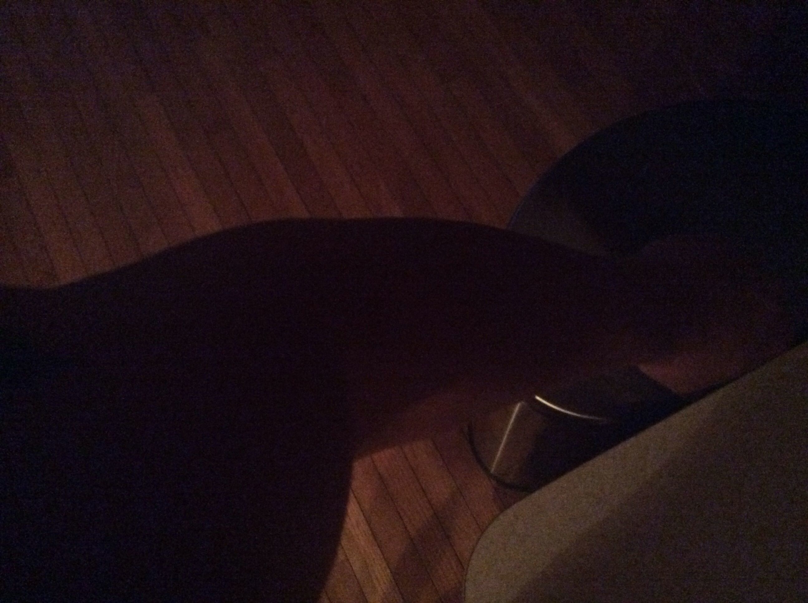 image.jpg