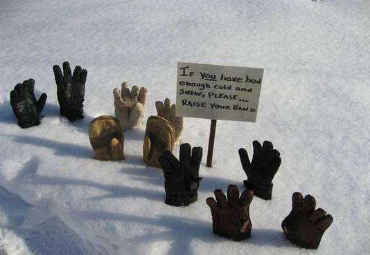 image011.jpg