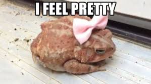 images-15.jpeg