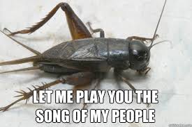 images-41.jpeg
