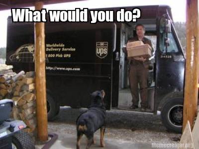 ImageUploadedByBrownCafe1394740183.238975.jpg