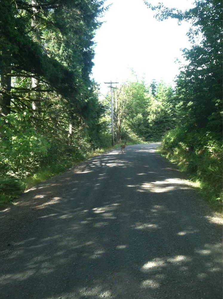 ImageUploadedByBrownCafe1406142713.320345.jpg